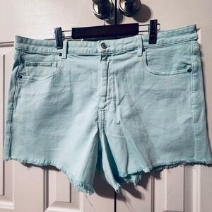 NWT American Eagle Outfitters Light Blue Jean Shorts Curvy Plus Size 20